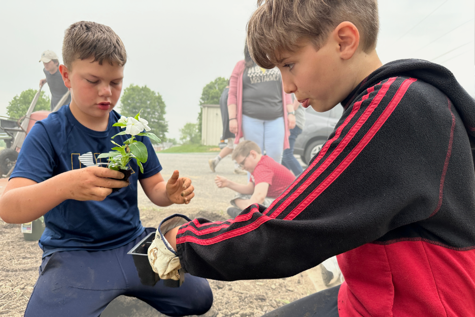 Two tween boys work together to plant landscaping